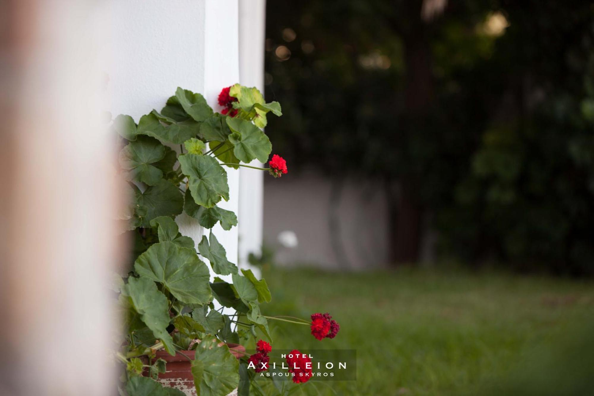 Achilleion Hotel İskiri Dış mekan fotoğraf