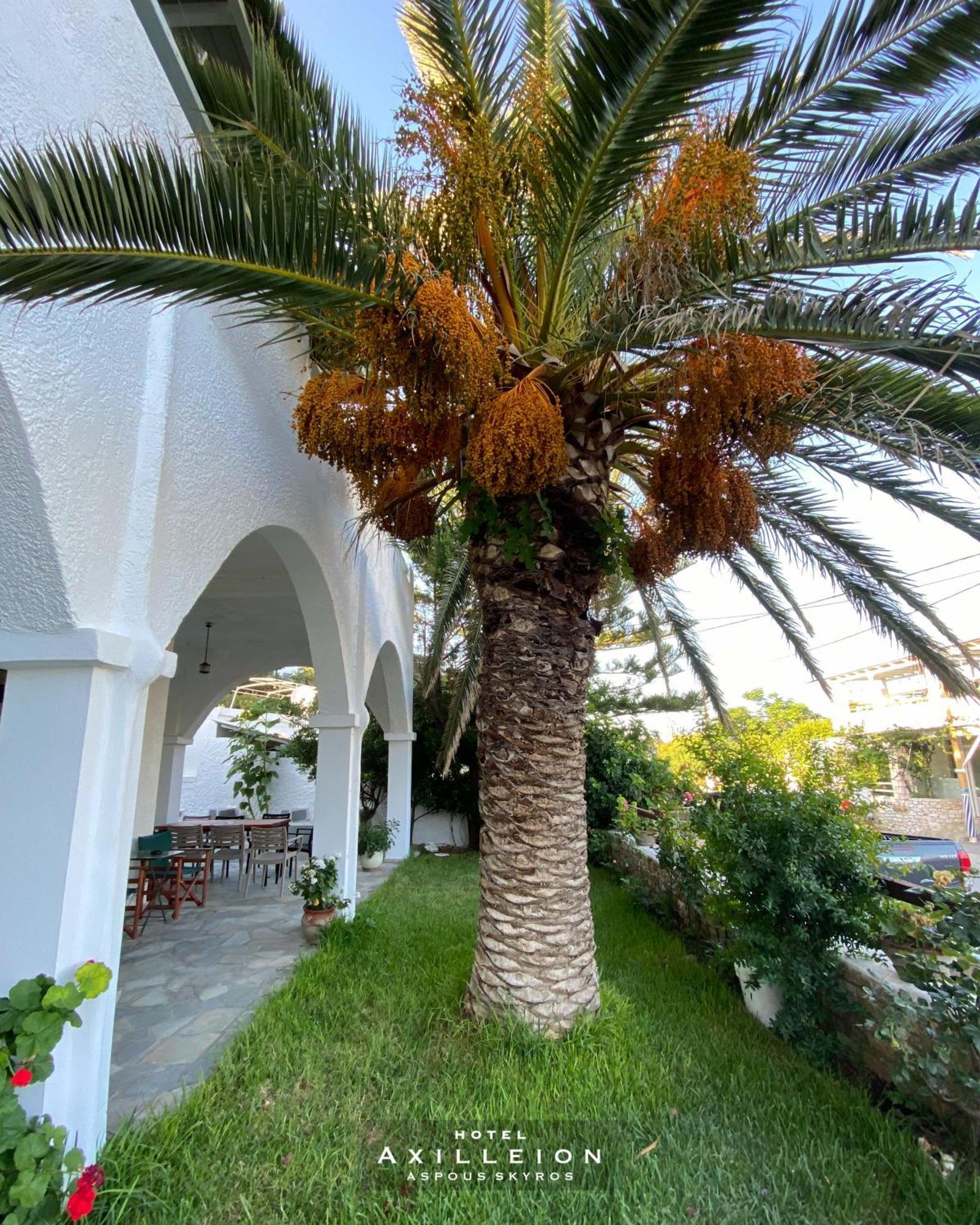 Achilleion Hotel İskiri Dış mekan fotoğraf