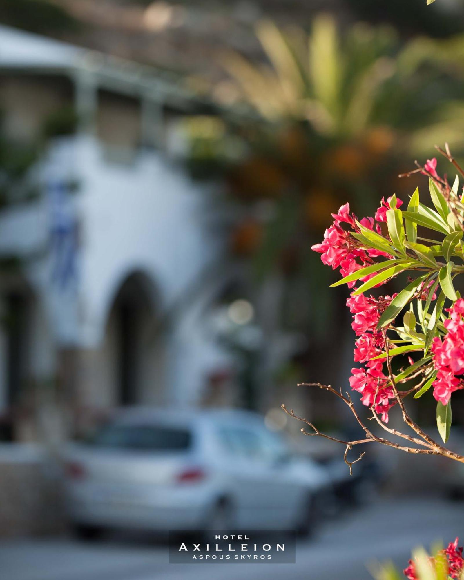 Achilleion Hotel İskiri Dış mekan fotoğraf