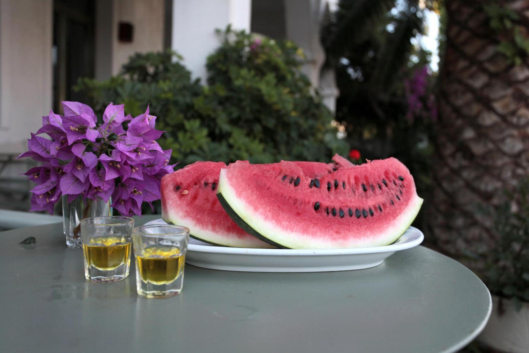 Achilleion Hotel İskiri Dış mekan fotoğraf
